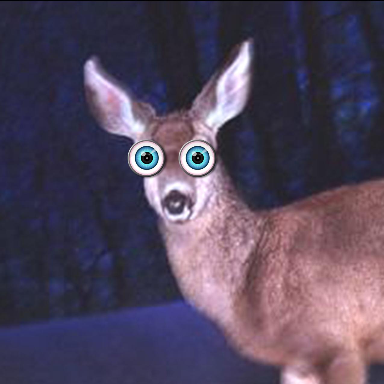 [Image: deer-in-headlights.jpg]